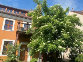 Toplage (!) Altstadthaus (!) Wohnung+Garten